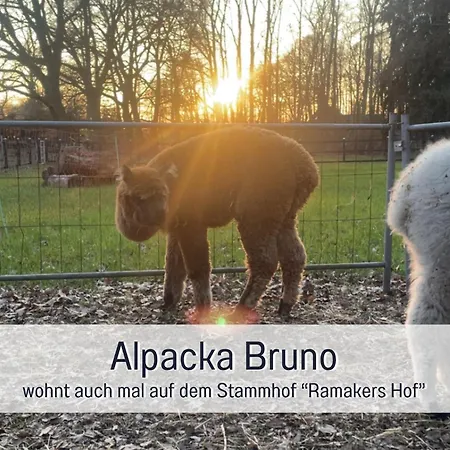 Meine Schule Sehlingen, Familien & Generations Landurlaub, Freunde & Team-auszeit, Workation, Sauna, Ruhe & Erholung, Niedersachsen, Verden, Hamburg, Bremen, Lueneburger Heide, Heide Park 38 Km , Serengeti Park 39 Km, Weltvogelpark 22 Km Kirchlinteln