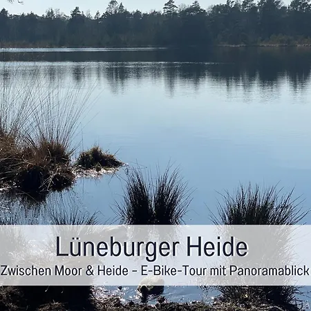 Meine Schule Sehlingen, Familien & Generations Landurlaub, Freunde & Team-auszeit, Workation, Sauna, Ruhe & Erholung, Niedersachsen, Verden, Hamburg, Bremen, Lueneburger Heide, Heide Park 38 Km , Serengeti Park 39 Km, Weltvogelpark 22 Km *