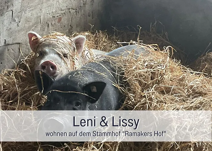 Meine Schule Sehlingen, Familien & Generations Landurlaub, Freunde & Team-auszeit, Workation, Sauna, Ruhe & Erholung, Niedersachsen, Verden, Hamburg, Bremen, Lueneburger Heide, Heide Park 38 Km , Serengeti Park 39 Km, Weltvogelpark 22 Km 公寓