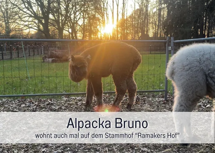 Meine Schule Sehlingen, Familien & Generations Landurlaub, Freunde & Team-auszeit, Workation, Sauna, Ruhe & Erholung, Niedersachsen, Verden, Hamburg, Bremen, Lueneburger Heide, Heide Park 38 Km , Serengeti Park 39 Km, Weltvogelpark 22 Km Kirchlinteln
